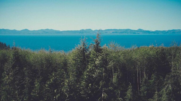 How Do Players Activate The 99Exch Welcome Reward?